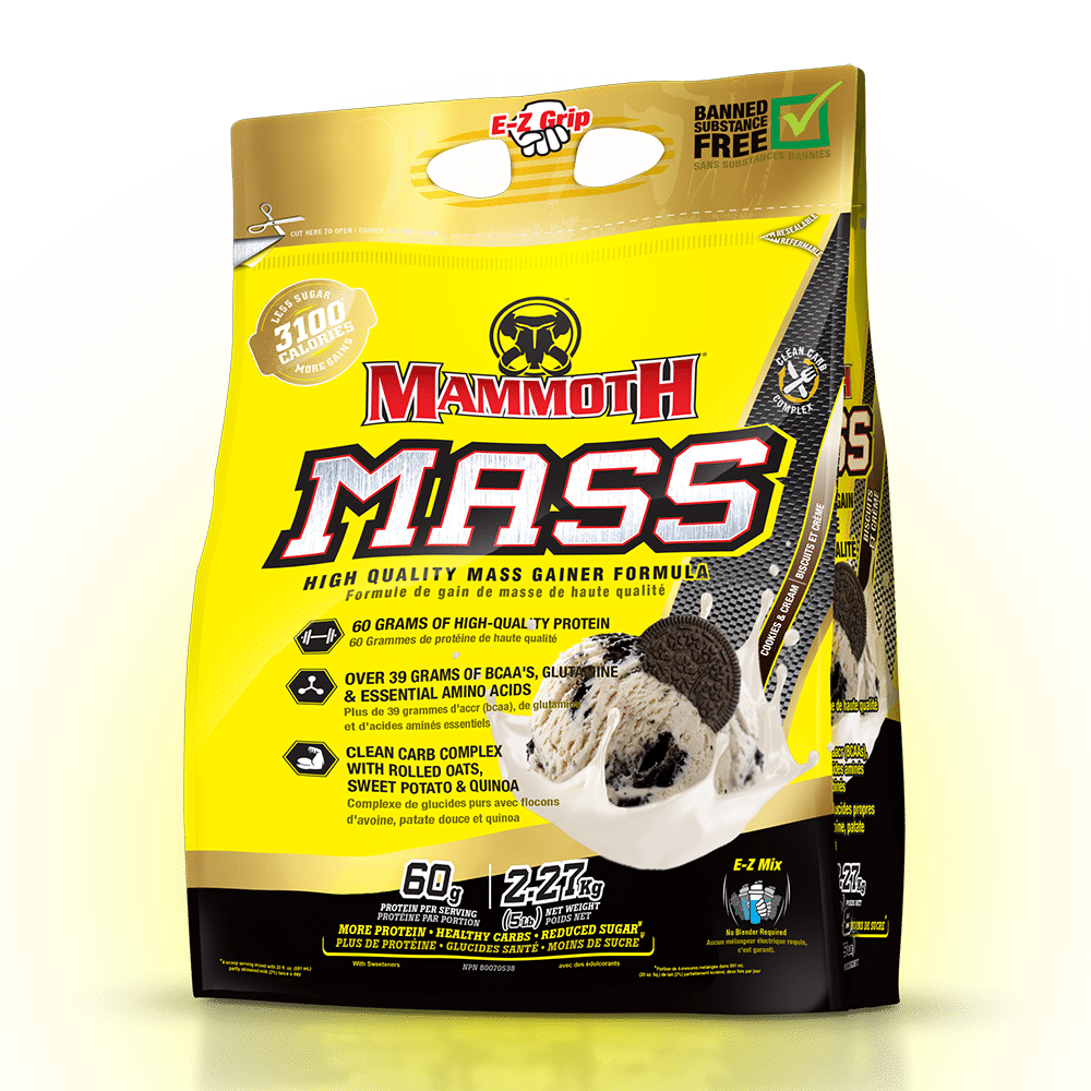 Mammoth mass (15lbs) – Image 3
