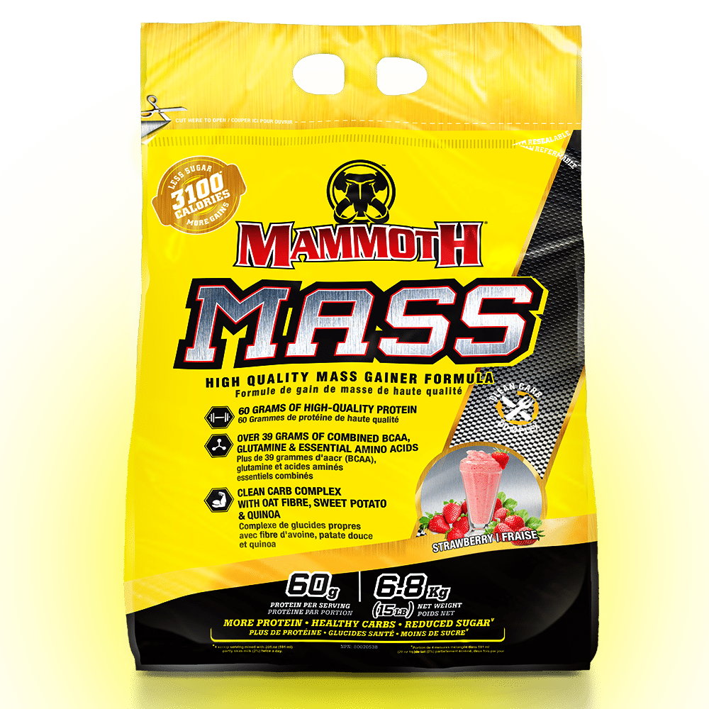 Mammoth mass (15lbs) – Image 5